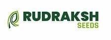 Rudraksha Seeds